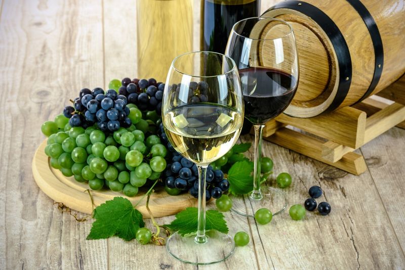 Wine and grapes - Best Wine Apps for iPhone