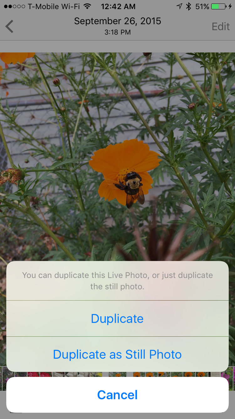 Duplicate Live Photos