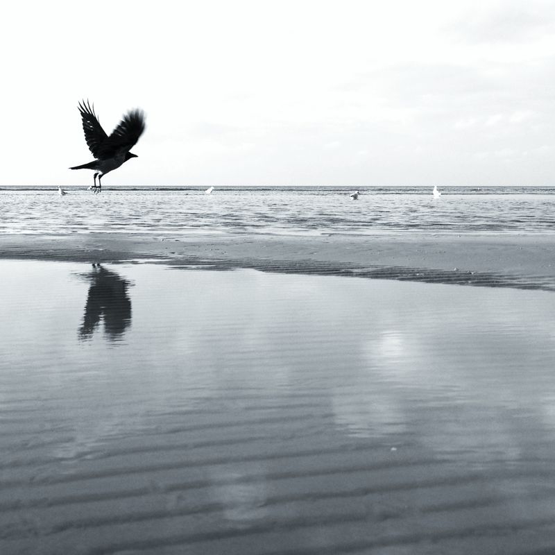 Simple iPhone Photo