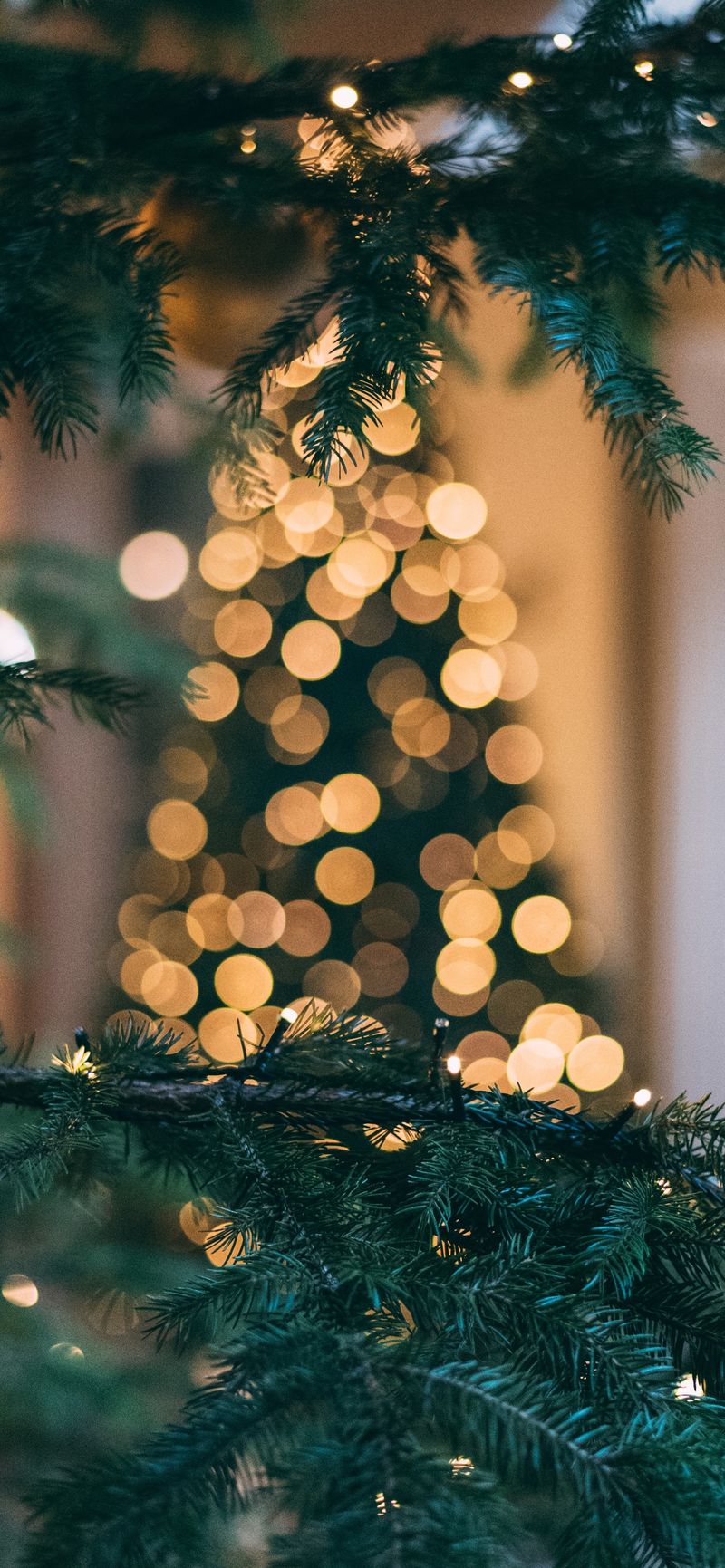 mourad-saadi-unsplash-bokeh-arbre-de-noel-fond-d-écran-iphone