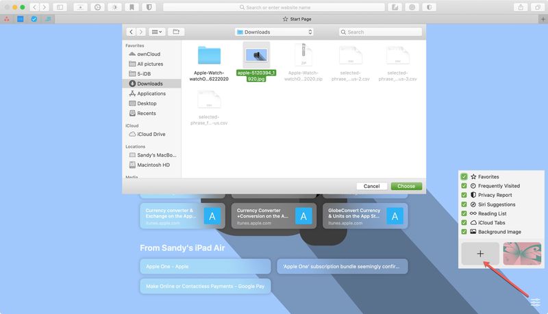 Choose Your Own Safari Start Page Background Image