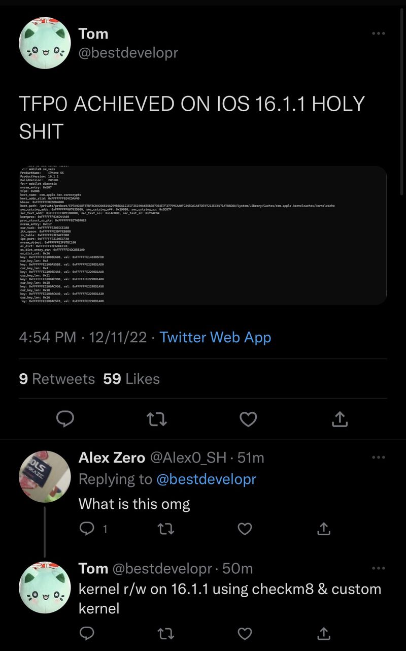 Tfp0 kernel task port on iOS 16 to be used by palera1n.