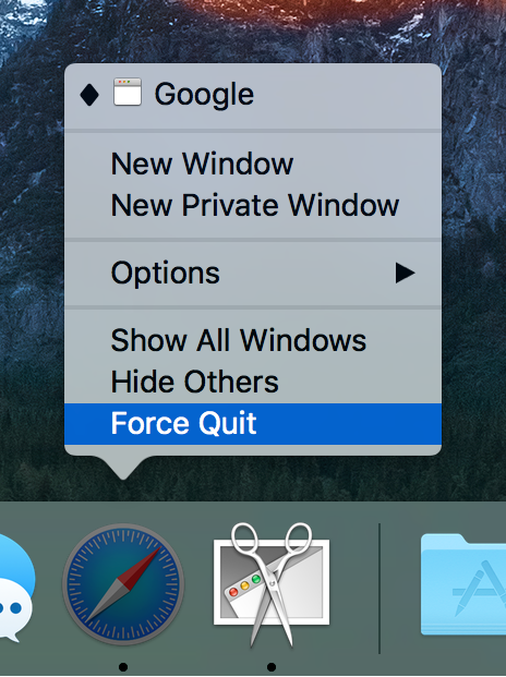 Safari Force Quit