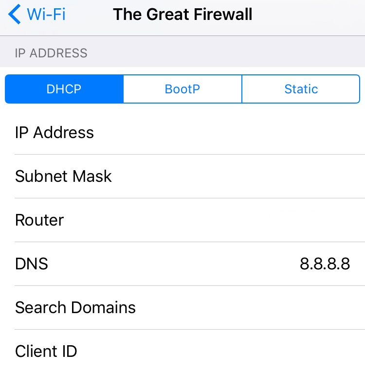 Change Wi-Fi DNS settings iOS