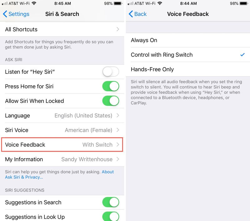 Siri Voice Feedback Setting