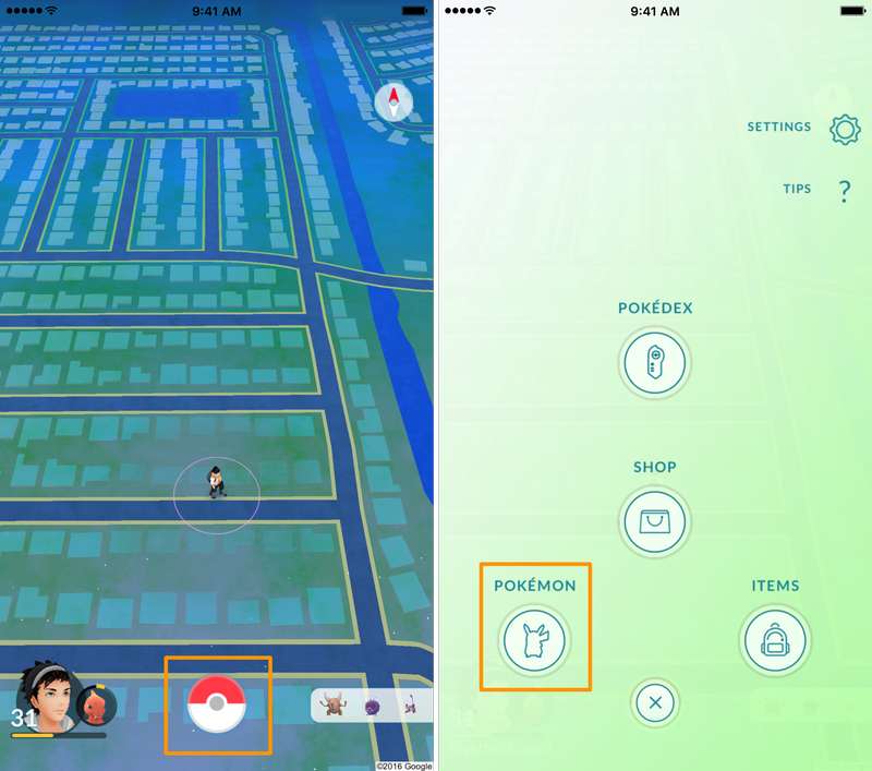 Boîte Pokémon GO Pokémon