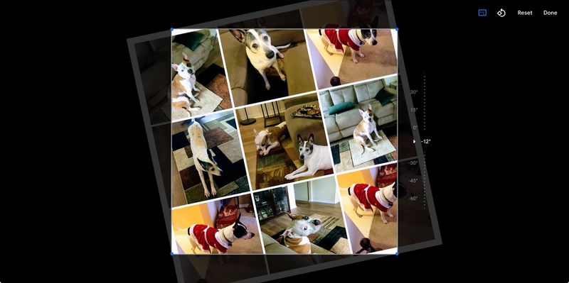 Google Photos Pivoter Collage Web
