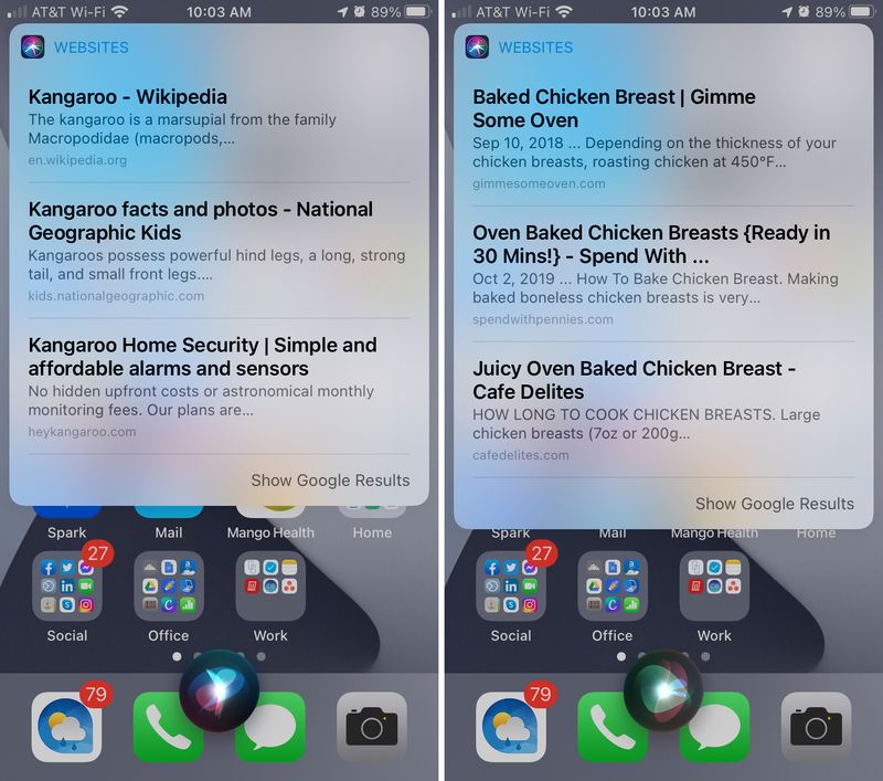 Siri HomePod Web Results on iPhone