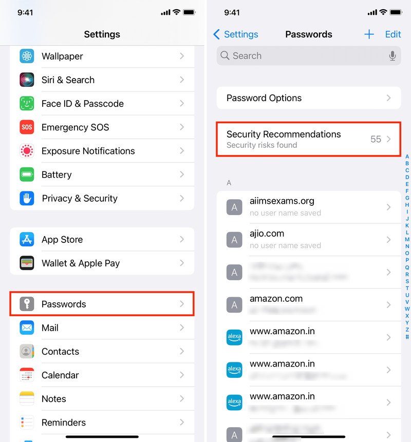 Security Recommendations in iPhone Passwords Settings