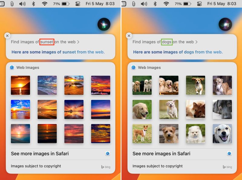 Edit Siri results on Mac
