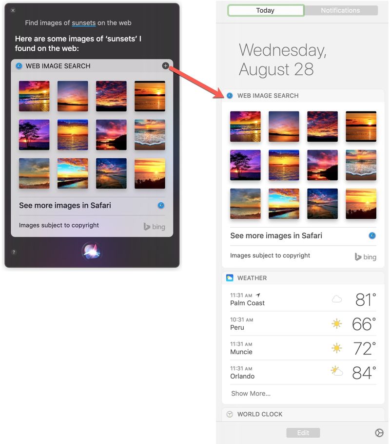 Save Siri Results Mac