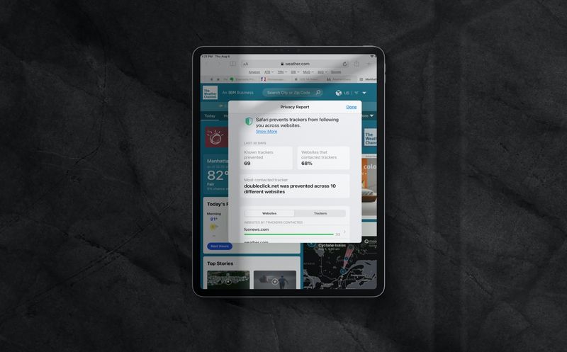 Safari Privacy Report iPad