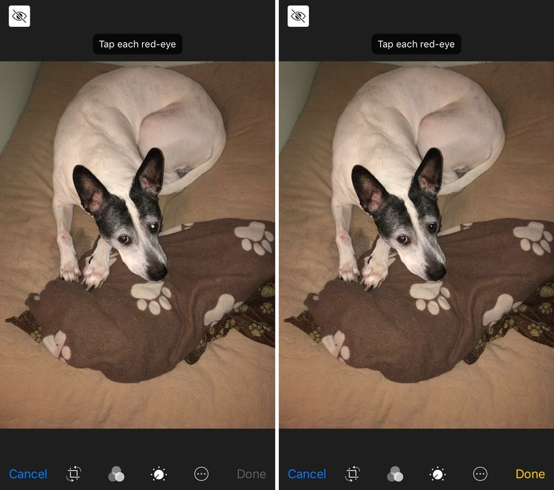 Correction des yeux rouges dans les photos sur iPhone