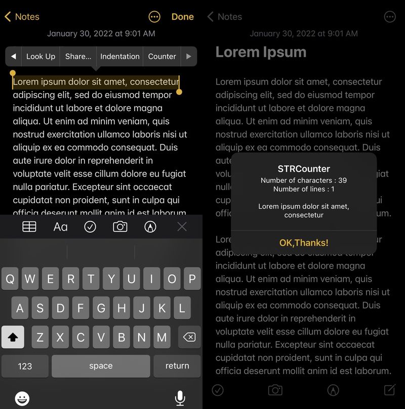 STRCounter displays how many characters are in a highlighted body of text.