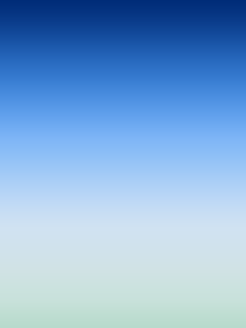 iPad Air1536x2048