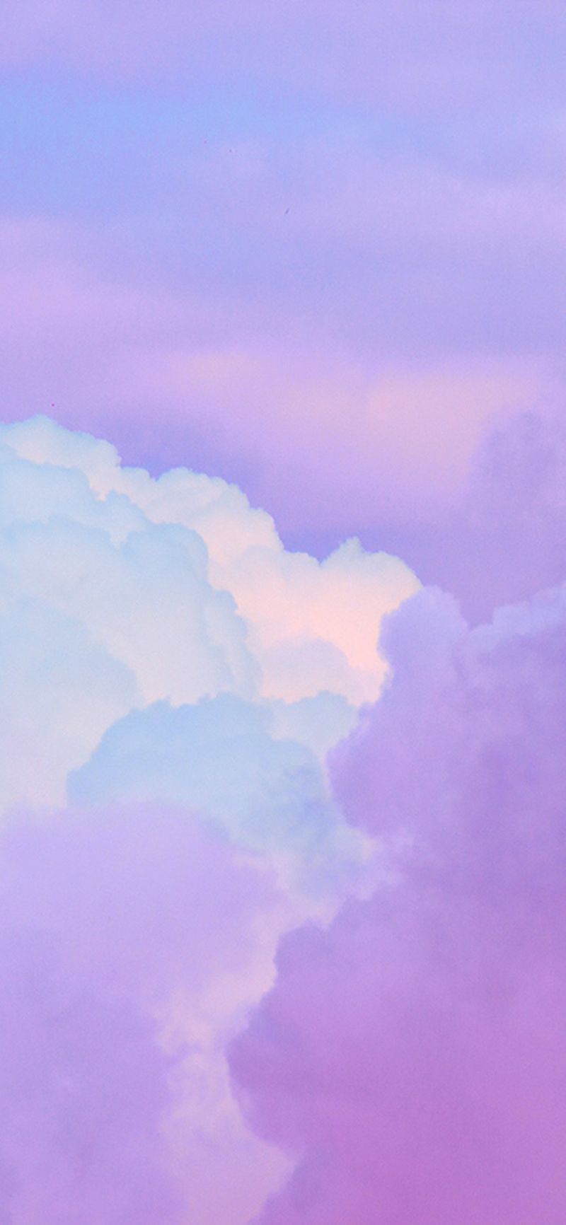 iPhone 11 fond d