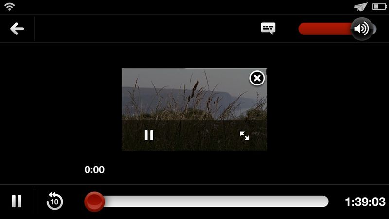VideoPane Netflix