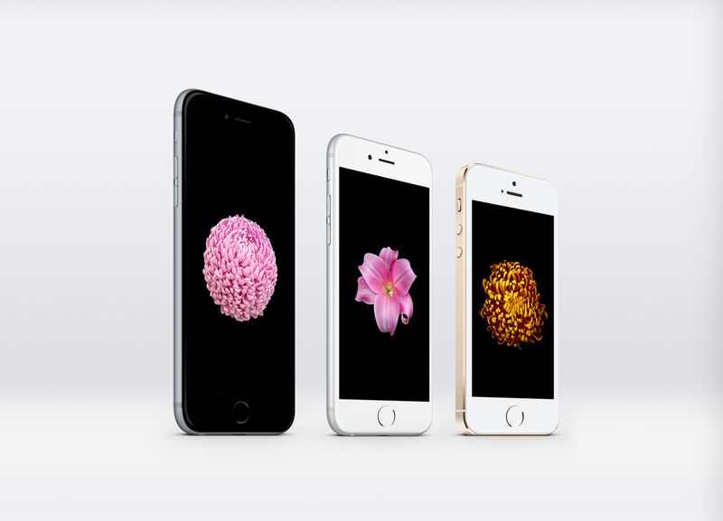flower_series_wallpaper_by_ziggy19-d85ht4g