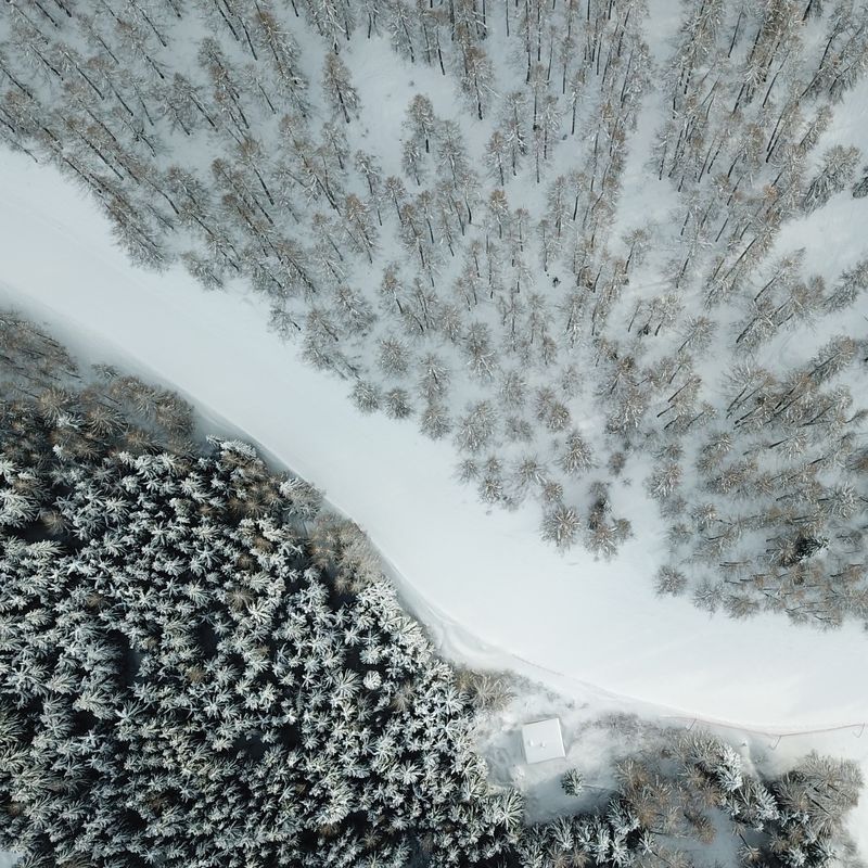 snow wallpaper drone forest idownloadblog unsplash riccardo lapi ipad