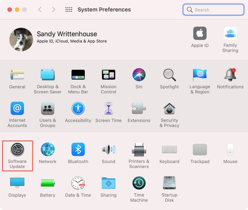 Mise à jour du logiciel des préférences système sur Mac Big Sur