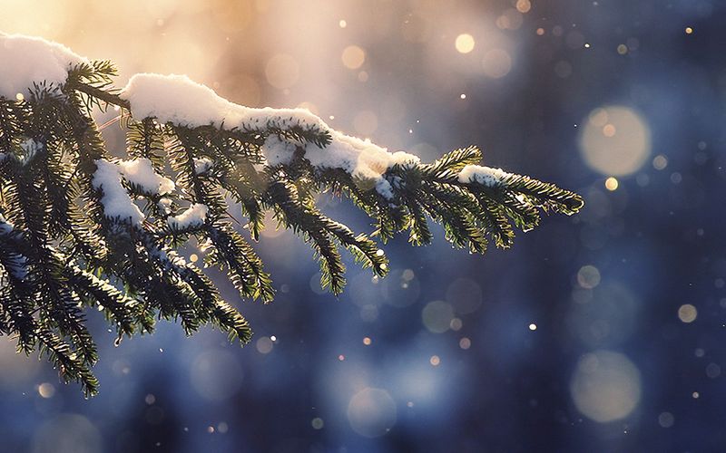 sapin-enneige-bleu-noel-hiver-nature-montagne-imac-27
