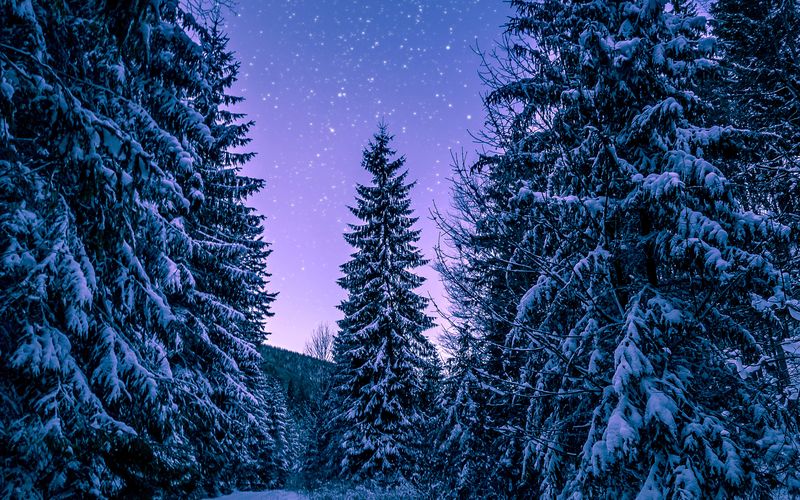 neige-hiver-bois-route-arbre-nuit-nature-imac-27