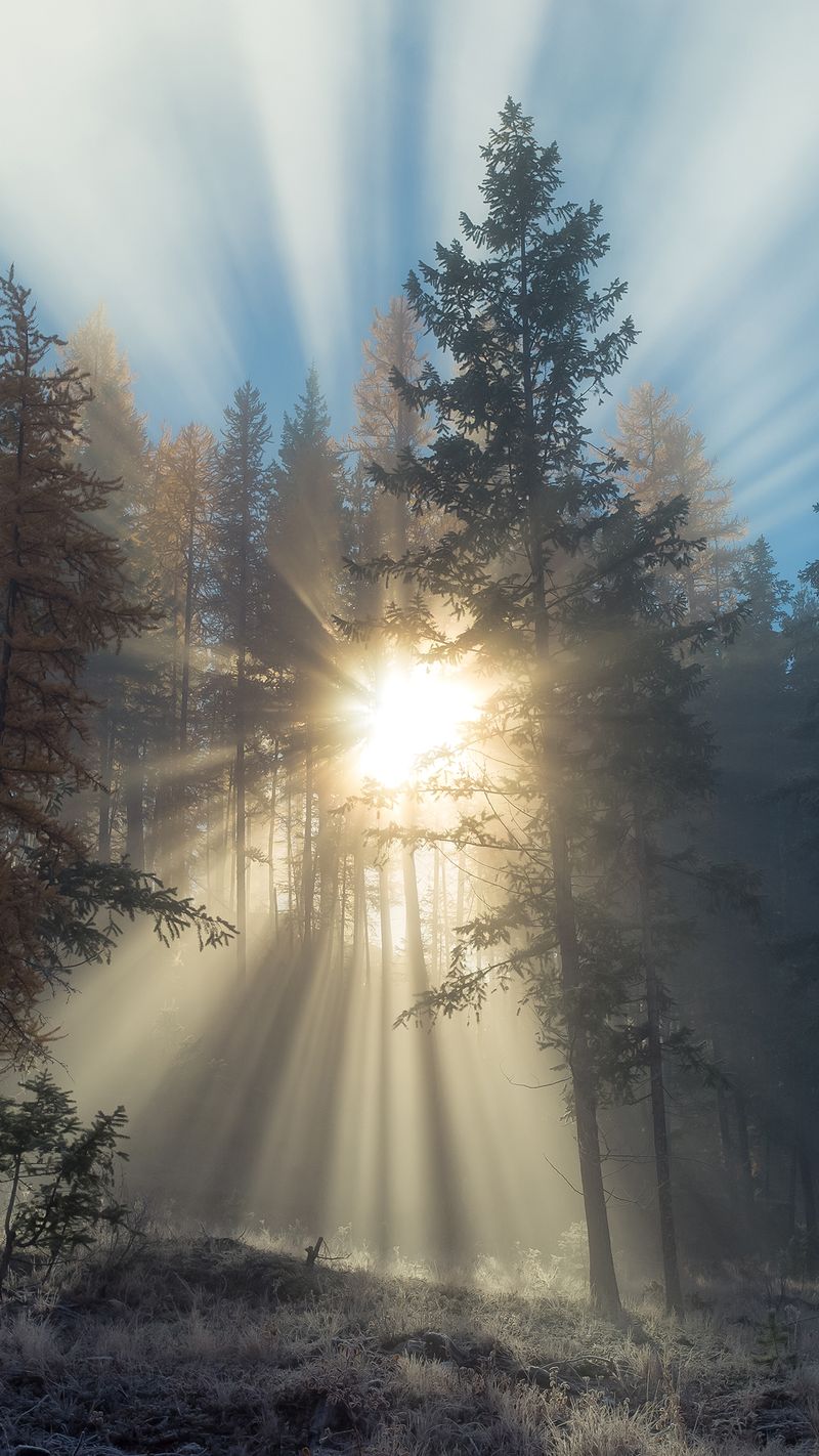 Piercing Through_iPhone 6 Plus Wallpaper Philippe Clairo 1242x2208
