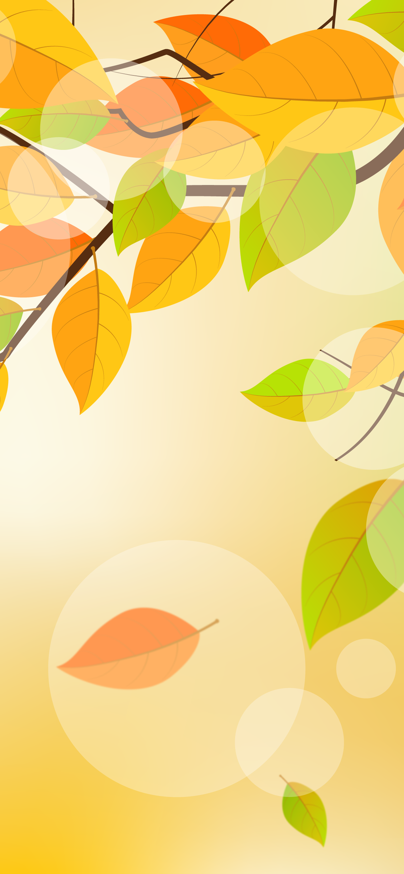 Feuilles d