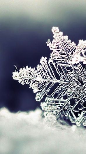 The-Winter-Dream-Snow-Ice-nature-preview
