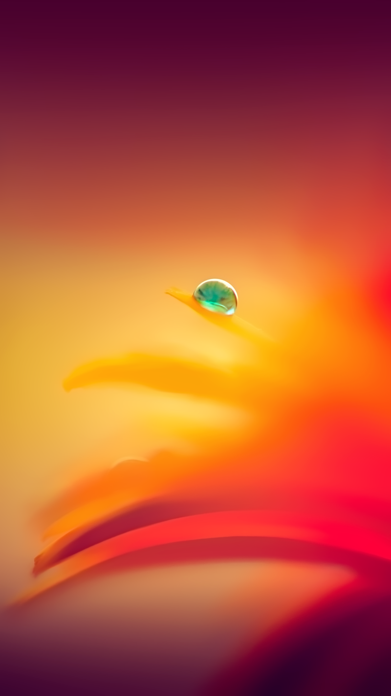 @amir_khani iPhone Wallpaper 3