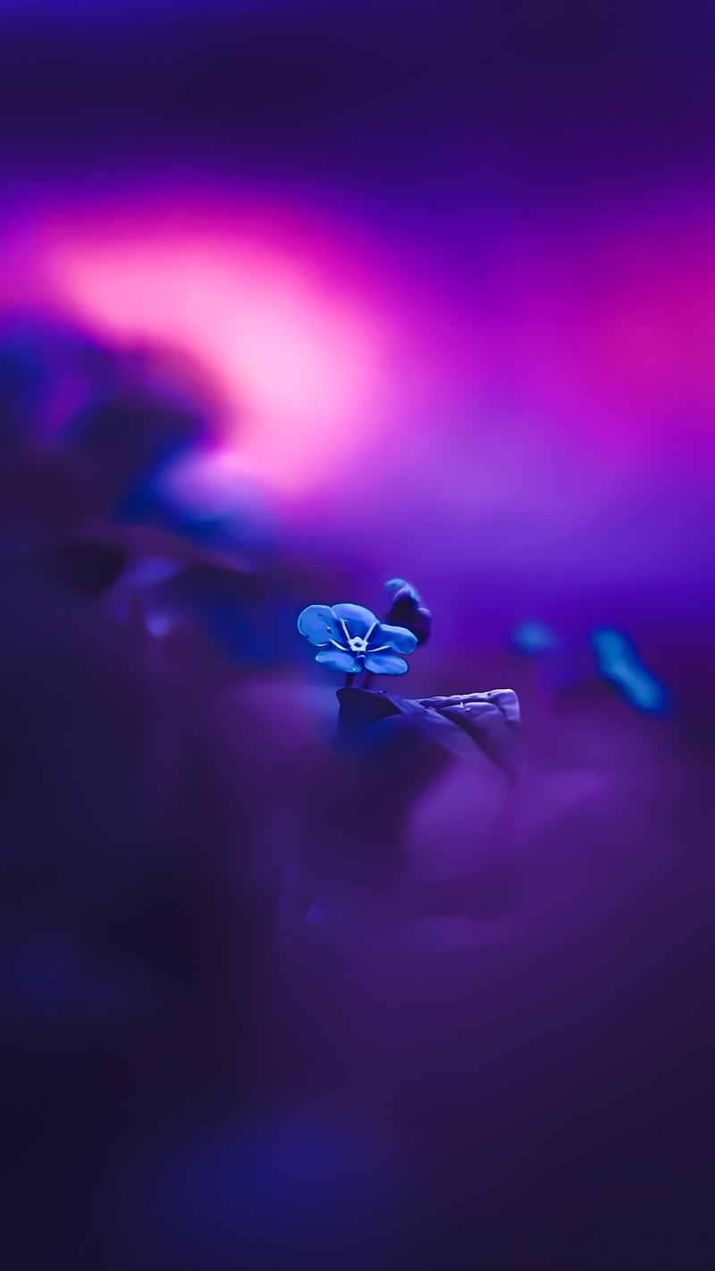 @amir_khani iPhone Wallpaper 4