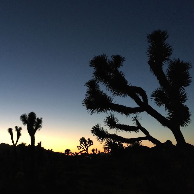 Desert Night iPad Pro