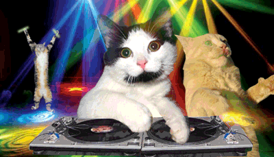 Fête des chats