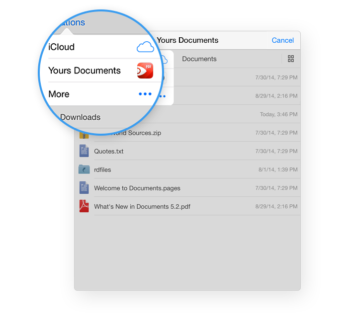 PDF Expert 5.2 for iOS (iCloud Drive 002)