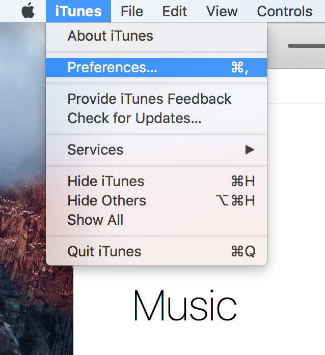 iTunes Preferences Menu Bar