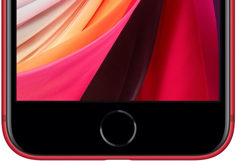 A closeup of the Home button with Touch ID on the second-generation iPhone SE (2020)